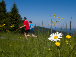 Valašský Hrb 2018. Autor: Daniel Nováček (https://eu.zonerama.com/DNdanfoto)