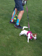 Valašský Hrb 2018. Autor: Lenka Nováčková