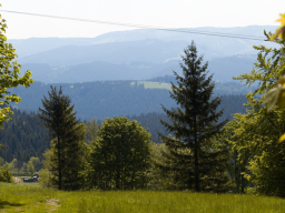 Valašský Hrb 2019. Autor: Daniel Nováček (https://eu.zonerama.com/DNdanfoto)