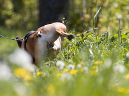 Valašský Hrb 2019. Autor: Daniel Nováček (https://eu.zonerama.com/DNdanfoto)