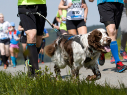 Valašský Hrb 2019. Autor: Daniel Nováček (https://eu.zonerama.com/DNdanfoto)