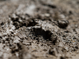 Valašský Hrb 2019. Autor: Daniel Nováček (https://eu.zonerama.com/DNdanfoto)