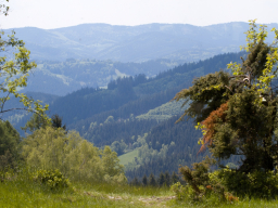 Valašský Hrb 2019. Autor: Daniel Nováček (https://eu.zonerama.com/DNdanfoto)
