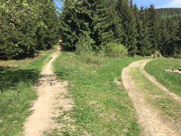 Valašský Hrb 2022. Autor: Tomáš Holas