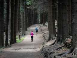 Valašský Hrb 2022. Autor: Daniel Nováček (https://eu.zonerama.com/DNdanfoto)